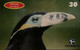 Phone Card Manufactured By Telemar In 2001 - Birds Special Series - Araçari-poca Species - Aquile & Rapaci Diurni