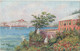 Post Card Bermudes Bermuda Antilles  Illustrator Ethel Tucker   Paget Store   N° 36 - Bermuda