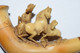Delcampe - Ancienne Pipe En écume De Mer Sculptée (Meerschaum) Et Ambre Représentant Une Scène De Chevaux XIXème - Pijpen Uit Meerschuim
