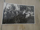 Cliché Format Carte Photo Max Du Camp 34 Hérault Clermont L'Hérault Confirmation 1937 - Clermont L'Hérault