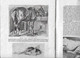 Enseignement Du Dessin COURS A.B.C  Gottschalk 1927 L'ANATOMIE Init étude Du Nu ,les Animaux Dessins Schémas     . - Other Plans