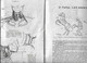 Delcampe - Enseignement Du Dessin COURS A.B.C  Gottschalk 1927 L'ANATOMIE Init étude Du Nu ,les Animaux Dessins Schémas     . - Other Plans