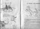 Delcampe - Enseignement Du Dessin COURS A.B.C  Gottschalk 1927 L'ANATOMIE Init étude Du Nu ,les Animaux Dessins Schémas     . - Autres Plans