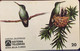Phone Card Manufactured By Telebras In The Early 1990s - Beija-Flores Series - Artistic Reproduction Of The Species - Aigles & Rapaces Diurnes