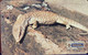 Phone Card Manufactured By Telerjr In 1998 - Series Reptiles - Epécie Monitor Da Savanna - Krokodillen En Alligators