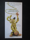 LOT 5 PROSPECTUS PUBLICITAIRE (M2204) LEBLON ET DELIENNE (2 Vues) 2001 - 2003 Barbapapa Marsupilami Astérix - Objets Publicitaires