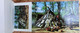 Delcampe - Album 20 Cartes Postales + Bonus, Fort William, Thunder Bay, Ontario - Port Arthur