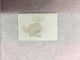 CHINA STAMP, Imperial, USED, TIMBRO, STEMPEL, CINA, CHINE, LIST 5135 - Used Stamps