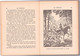 Hachette - Bibliothèque De La Jeunesse Avec Jaquette - James Oliver Curwood - "Le Grizzly" - 1948 - #Ben&Curwood - Bibliothèque De La Jeunesse