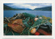 AK 038005 SCOTLAND - Am Loch Broom Bei Ullapool - Ross & Cromarty