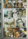 MARVEL MILLENNIUM : HOMEM-ARANHA N° 13 AO VIVO Janvier 2003 (en Portugais) - Cómics & Mangas (otros Lenguas)