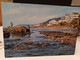 Cartolina Pizzo Provincia Vibo Valentia Spiaggia Piedigrotta  1976 - Vibo Valentia