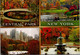 (2 G 24) USA (posted To Australia 2014) Central Park - New York City - Central Park