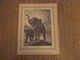 Protège-Cahier/Couverture "L'Elephant - Histoire Naturelle" - Format Plié 22,3x 17,2 Cm Env. - Protège-cahiers