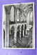 Delcampe - Aalst Lot X 17 Fotokaarten Carte Photo Sint-Martinuskerk - Aalst
