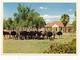 Delcampe - 9 CPM - AFRIQUE DU SUD - Highgate Ostrich Farm, OUDTSHOORN - Fermes D'Autruches - Sudáfrica