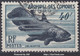 ARCHIPEL DES COMORES : 1954 - POISSON COELACANTHE N° 12 OBLITERATION LEGERE - Usados