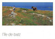 CPSM 29 ILES DE BATZ  PROMENADES COTIERES - Ile-de-Batz