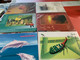 Hong Kong Stamp Cards  6 Sets Official Insect WWF Dolphin Ferry Christmas - Cartas & Documentos