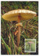 ALAND - Carte Maximum - Champignon Parasol - 2/1/2003 - Aland