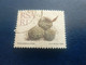 Rsa - Trichocaulon Cactiforme - Hein Botha - R 1 - Multicolore - Oblitéré - Année 1988 - - Used Stamps