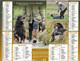 CALENDRIER 2020 CHASSE - Groot Formaat: 2001-...