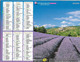 CALENDRIER 2020 FORT DE BREGANCON (83) Et AUREL (26) - Formato Grande : 2001-...