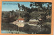 Bermuda Old Postcard - Bermuda