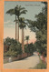 Bermuda Old Postcard - Bermuda