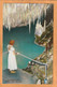 Bermuda Old Postcard Mailed - Bermuda