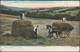 Rural Life, In The Hayfield, 1904 - Tuck's Postcard - Attelages