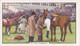 Racing Scenes 1938 - 17 In The Paddock - Gallaher Cigarette Card - Original - Horses - Gallaher