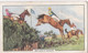 Racing Scenes 1938 - 34 Beechers Brook - Gallaher Cigarette Card - Original - Horses - Gallaher