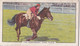 Racing Scenes 1938 - 21 Newmarket Town Plate  - Gallaher Cigarette Card - Original - Horses - Gallaher