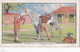Racing Scenes 1938 - 15 Grooming  - Gallaher Cigarette Card - Original - Horses - Gallaher