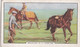 Racing Scenes 1938 -  10 Breaking In A Yearling  - Gallaher Cigarette Card - Original - Horses - Gallaher