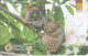 Philippine Tarsier - Exp Date 2001 - Filipinas