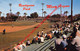 Mesa - Rendezvous Park - Arizona - United States - Baseball - Mesa