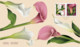 Qc. CALLA Flowers = FDC (Official First Day Cover) Canada 2022 - 2011-...
