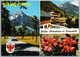 Österreich Tirol Vomp Eng - Mehrbildkarte 2  Chevrolet Impala Großer Ahornboden Café Gästehaus Max Kofler Alpengasthof - Vomp