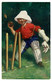 Ref 1528 -  1907 Kinsella  Comic Postcard - Cricket Theme "How's That" - Bandes Dessinées