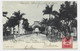 CUBA 2C PALMIERS  CARD MAX CARTE MAXIMUM HABANA COLON 1902 - Maximum Cards