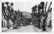 84-CAVAILLON- COURS GAMBETTA - Cavaillon