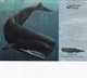 Isole Faroer-cartola Postale-17/09//2001 - Färöer