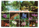 Afrique Du Sud--DURBAN--1982--Botanic Gardens (fleurs) --timbre (préhistoire)  ..cachet .............. - Afrique Du Sud