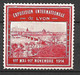 France  Vignette  Exposition Internationale Lyon Du 01/05 Au 01/11/1914    Neuf (* )  Voir Scans         - Tourism (Labels)