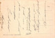 013813 "ASMARA - COLONIA ERITREA - PANORAMA"   CART SPED 1936 - Erythrée