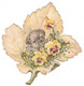 Chromo Découpi Chocolat Payraud Chien Dog Cane Feuille Fleur Flower Format 9,6 Cm X 9,8 Cm En B.Etat - Animals