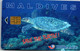 31066 - Malediven - Dhiraagu , Save The Turtle , Schildkröte - Maldive