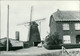 BE KINROOI / Molenbeersel - Molen Zorgvliet / - Kinrooi